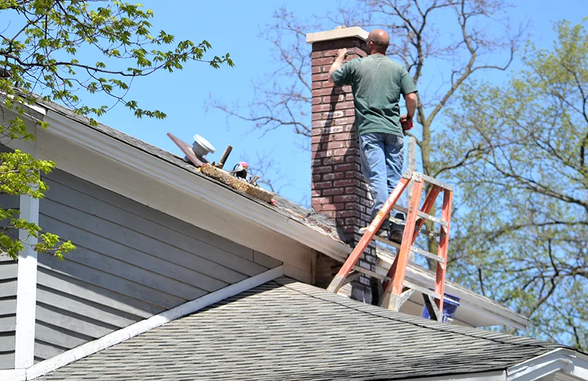 Chimney & Fireplace Inspections Services in Seguin, TX